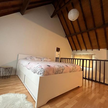 Le Mortier D'Or Duplex Hyper Centre Ville Troyes Eksteriør bilde