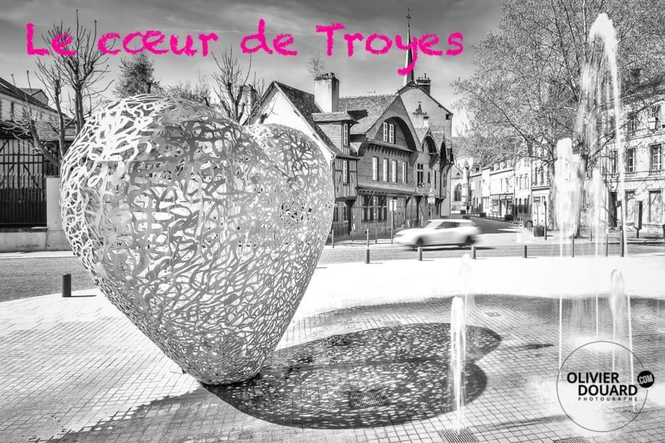 Le Mortier D'Or Duplex Hyper Centre Ville Troyes Eksteriør bilde