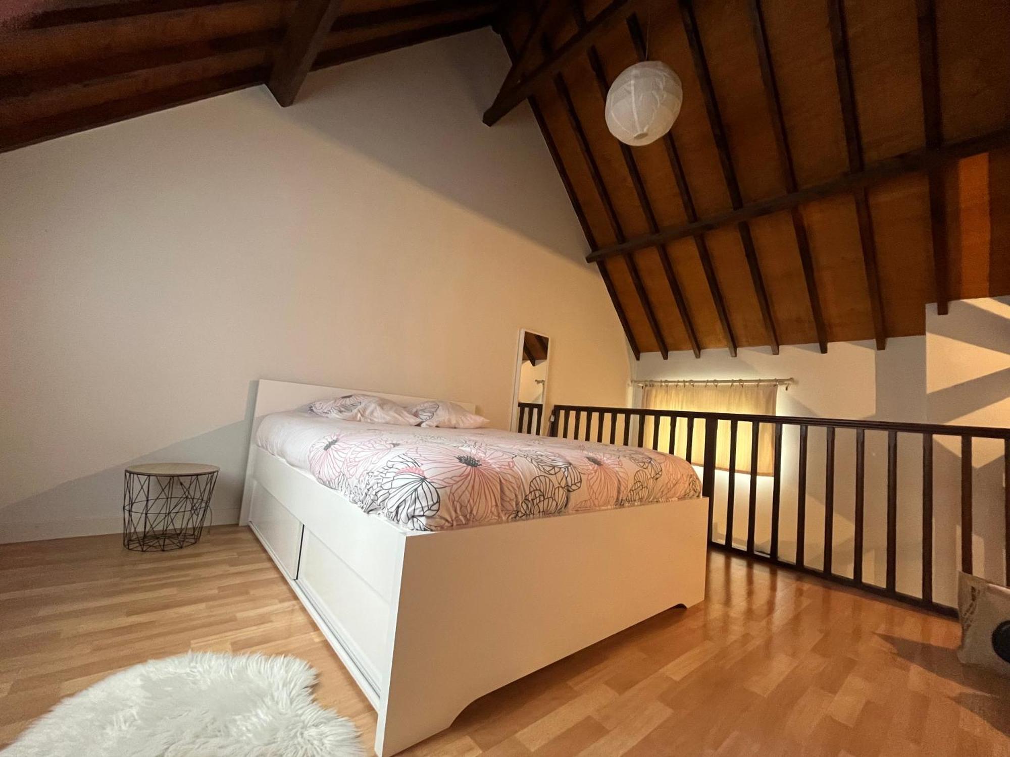 Le Mortier D'Or Duplex Hyper Centre Ville Troyes Eksteriør bilde